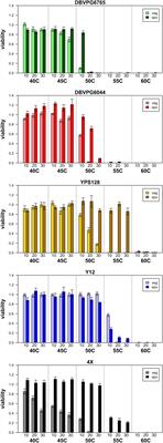 Heat Shock Improves Random Spore Analysis in Diverse Strains of Saccharomyces cerevisiae